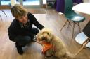 Alzheimer Scotland is looking for volunteer dogs and their humans to lend a hand at its 'Dog Day' sessions in Helensburgh