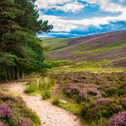 Spots in Ayrshire and the Cairngorms were among the 'best British breaks' for 2024