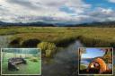 Images from the RSPB's planning application, including designs from other locations which the nature charity says could inspire plans for the site