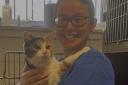 McDonalds Vets provides care to feline patients through several specialised measures