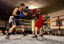 Steve D’Ambrosio from Duntocher won his contest on a 3-2 split decision