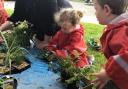 Designs by Linnvale Primary and Gavinburn Primary are two of 42 entries to make it through to the final of this year's Pocket Garden Design Competition