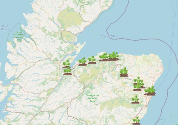 Clydebank Post: Giant Hogweed Locations Map. Credit: WhatShed