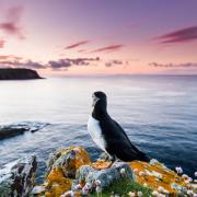 Scottish destinations like Fair Isle in Shetland were named among the most picturesque in the UK