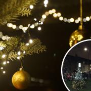 The group have had a living Christmas tree in the area since 2018