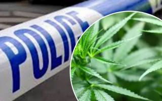 Motorcyclist pulled over by cops was driving with three times legal cannabis limit