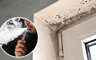 Does vaping contribute to mould in your home?