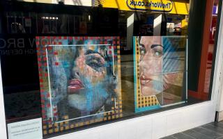 The art is being showcased in Clyde Shopping Centre